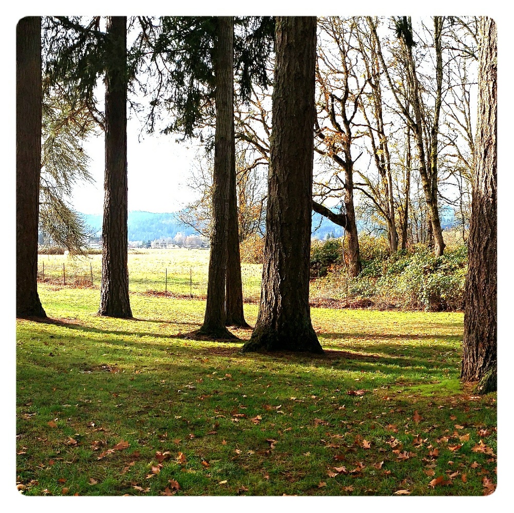 Meet your Posher, Letty